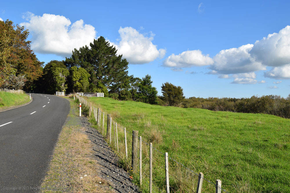 Fyers Park at Lake Waikare