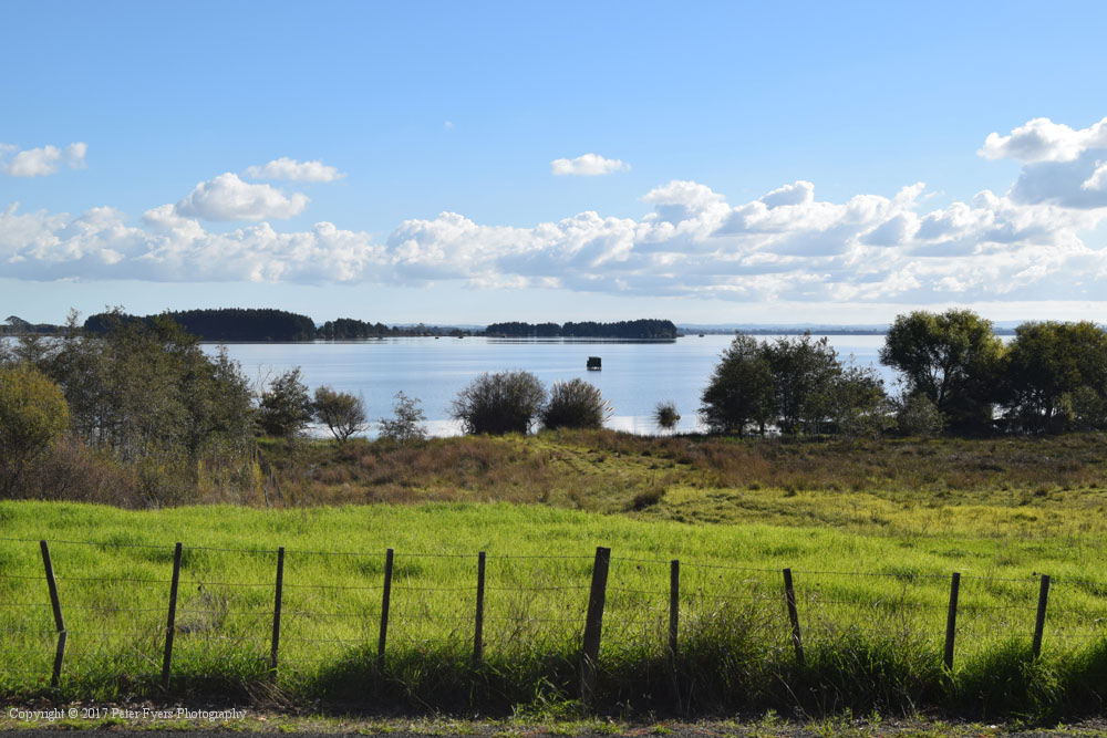 Fyers Park at Lake Waikare