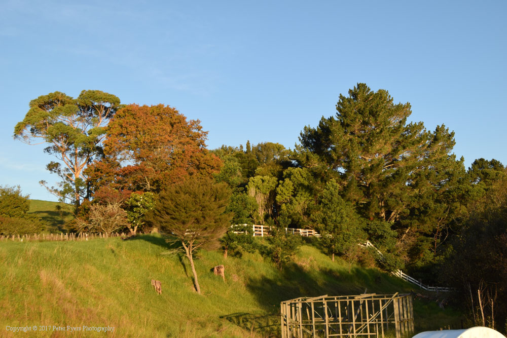 Fyers Park at Lake Waikare