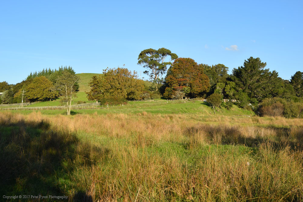 Fyers Park at Lake Waikare