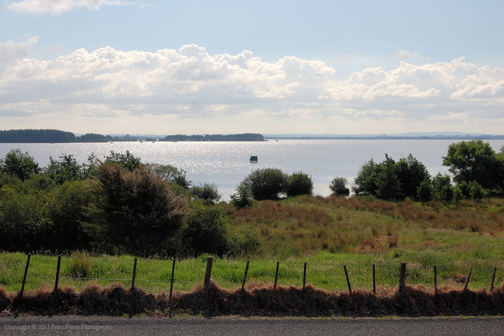Fyers Park at Lake Waikare
