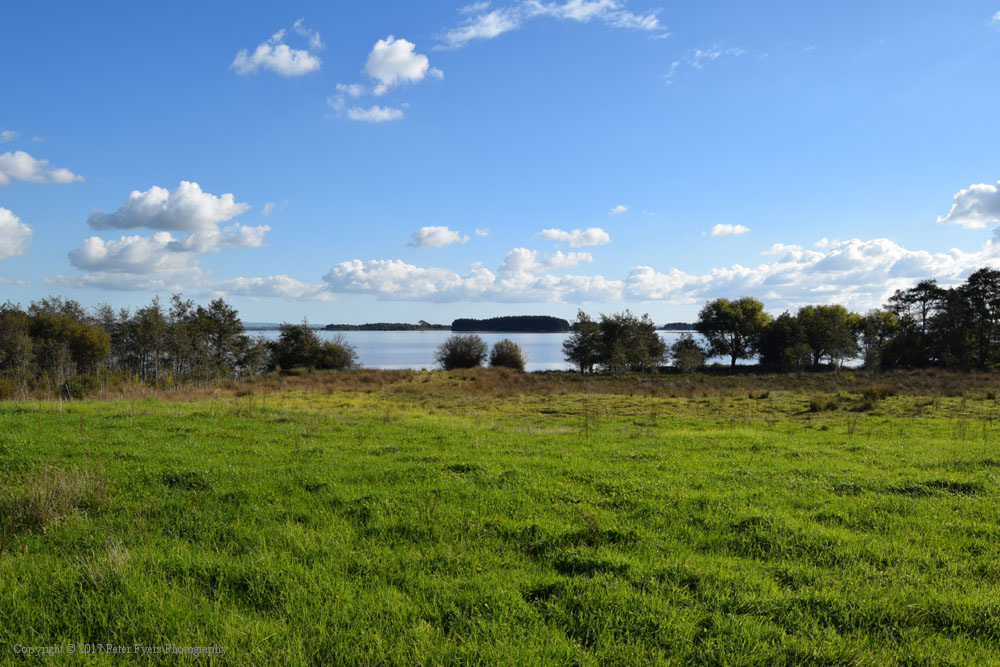 Fyers Park at Lake Waikare