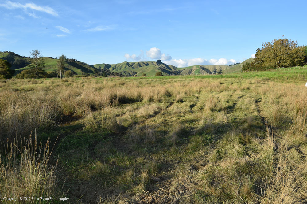 Fyers Park at Lake Waikare