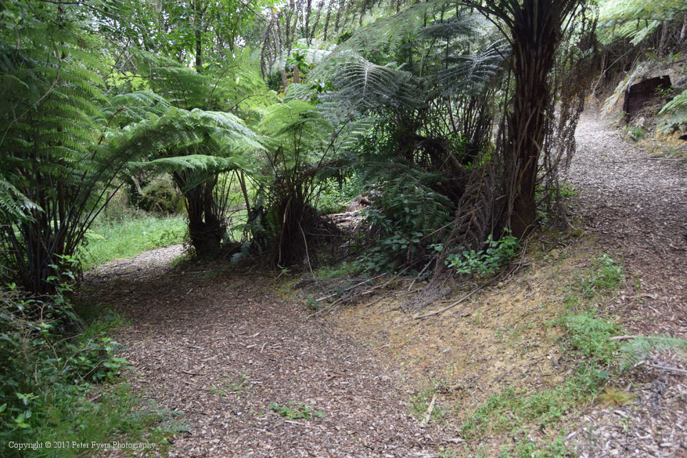 Fyers Park at Lake Waikare