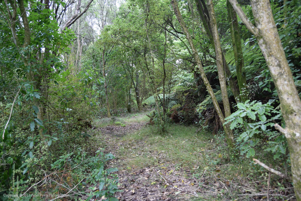 Fyers Park at Lake Waikare