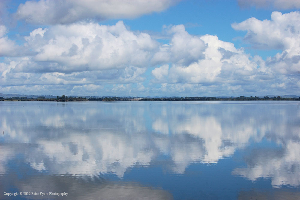 Fyers Park at Lake Waikare