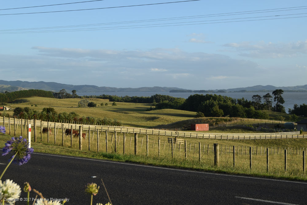 Lake Waikare