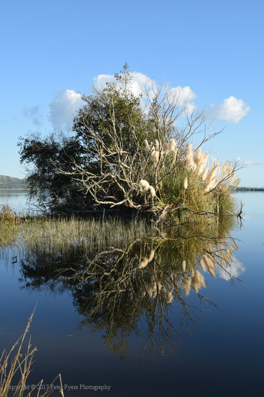 Fyers Park at Lake Waikare