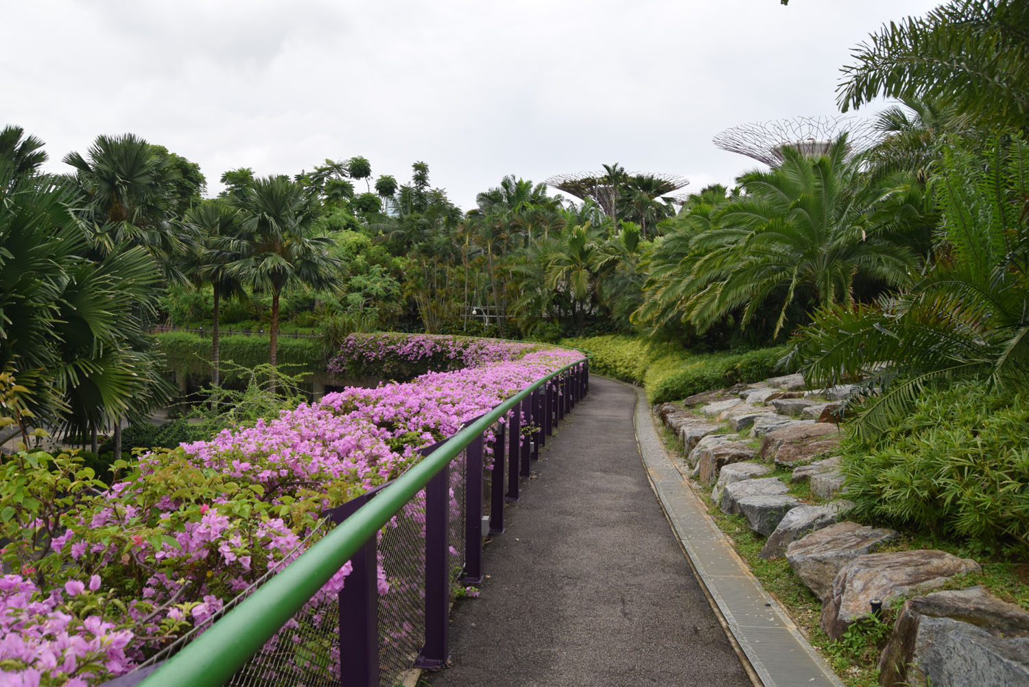 14_Singapore_0007