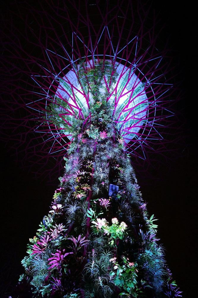 40_Singapore_202257