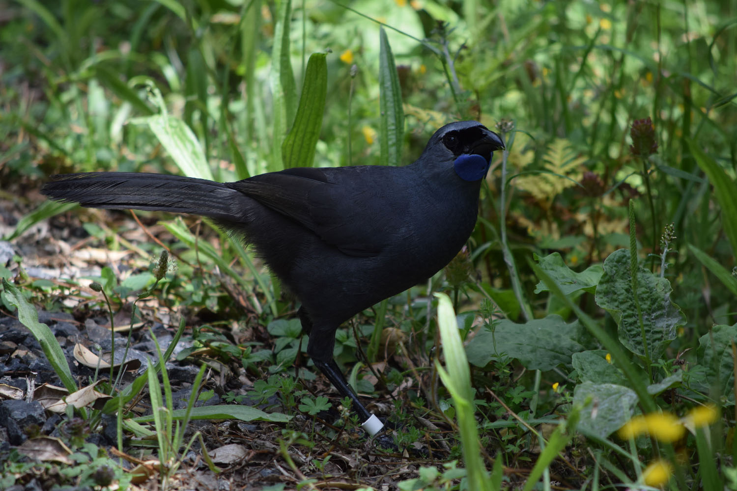 DSC_0045e