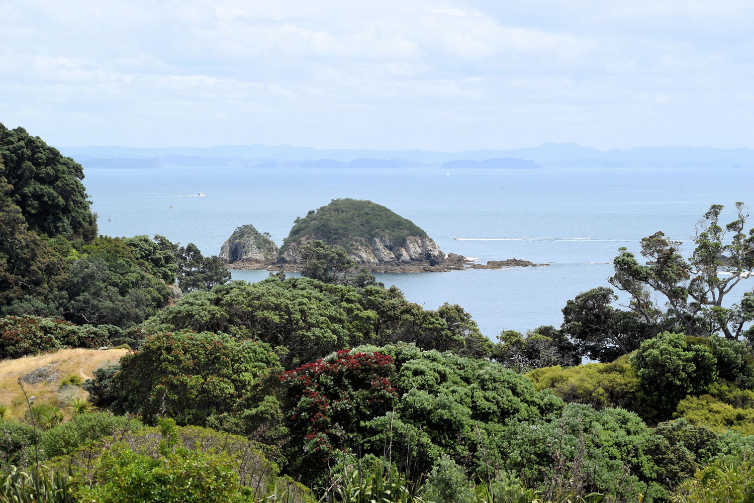 DSC_0060e