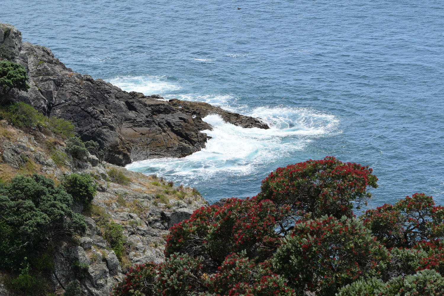 DSC_0074e