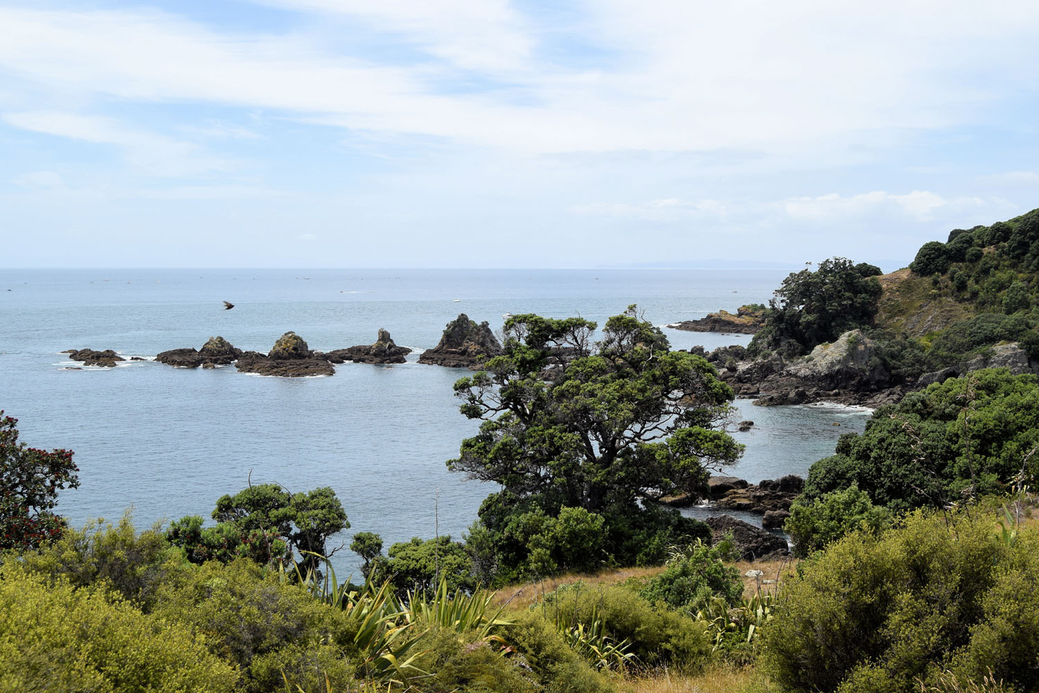 DSC_0079e