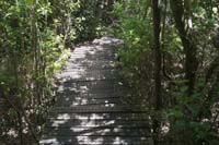 IMG_20191226_141516-e